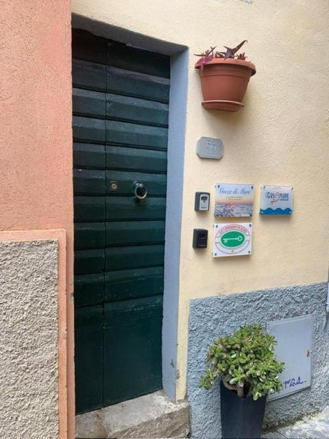 Casamare Lägenhet Riomaggiore Exteriör bild